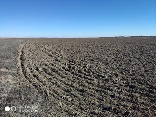 Finca rústica a Herencia. Venta de finca de labor secano de 54 hectáreas