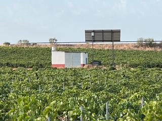 Finca rústica en Villafranca de los Caballeros. Venta de viña emparrada de regadio