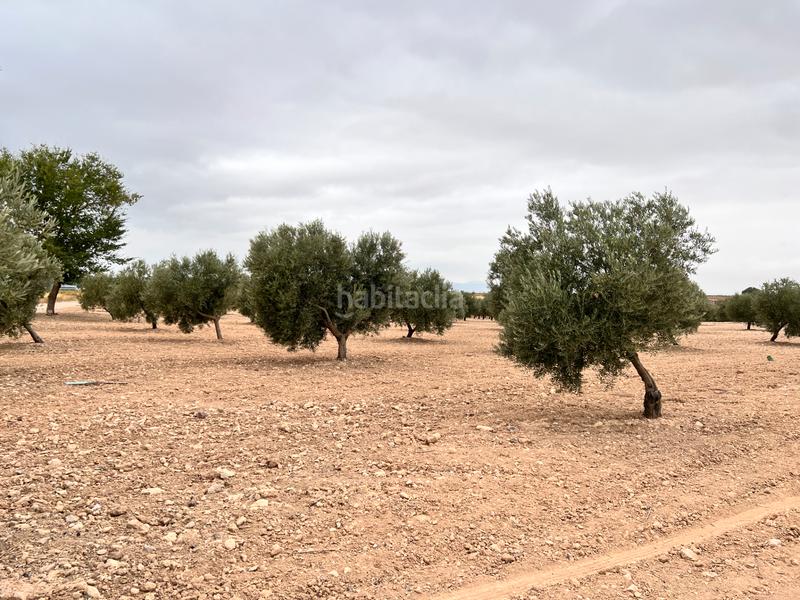 Foto 75d4d030-7b6a-4076-8518-7b931d6dfad1. Landgut in avenida alcázar 14 in Herencia