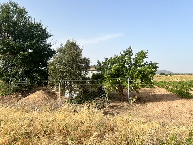 Foto 6e96c792-f883-44f6-b90f-2c6164e2d204. Finca rústica a Herencia