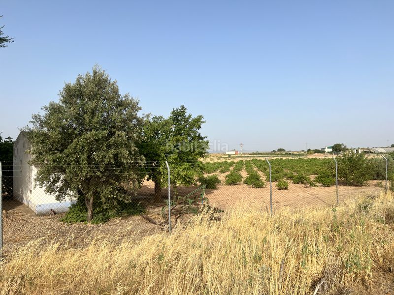 Foto c294d98d-4b65-4fc0-8a79-877d19a5bfe6. Finca rústica a Herencia