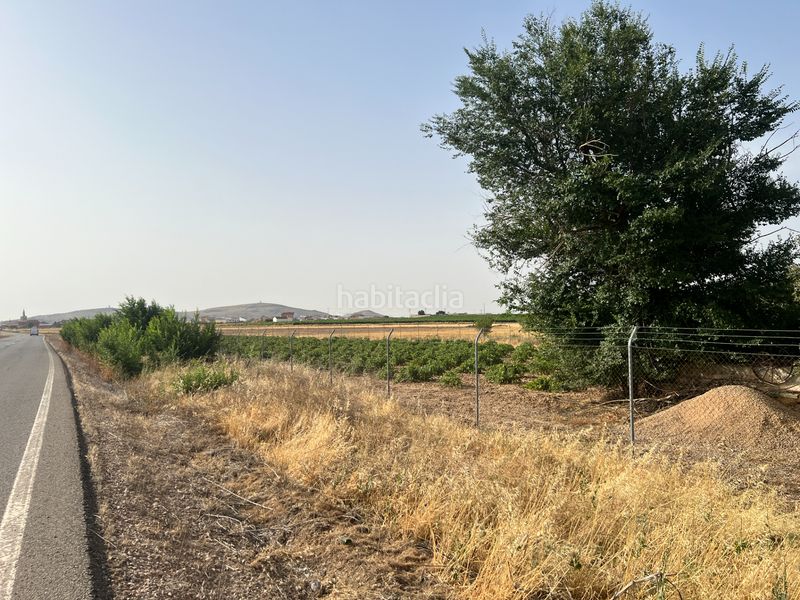Foto fea93082-eb39-44c9-a6a2-9ac5394d5510. Finca rústica a Herencia