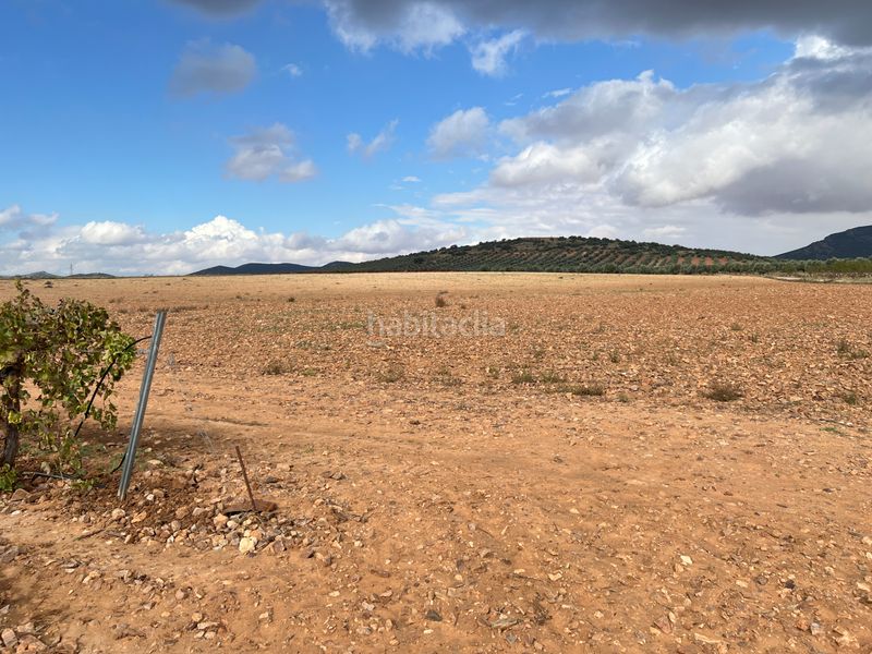 Foto 2d5a9b18-6609-4395-a77a-221d593b9201. Finca rústica a carretera Herencia 14 a Herencia