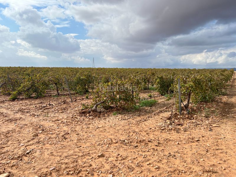 Foto 763c0893-88cd-48c1-97a5-ac5db271b665. Finca rústica a carretera Herencia 14 a Herencia