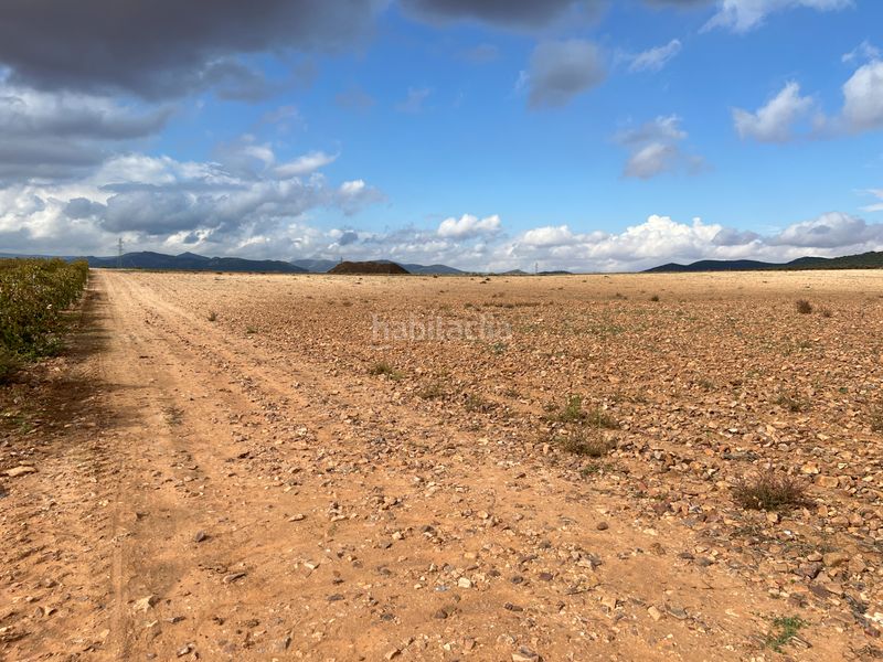 Foto d19fbdf9-53d6-4cde-b9f6-10f6b7318ba3. Finca rústica a carretera Herencia 14 a Herencia