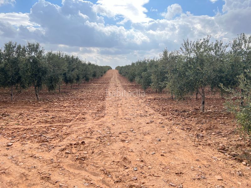 Foto d1cc9ae7-b662-4cf7-bde9-8a17996bedd1. Finca rústica a carretera Herencia 14 a Herencia