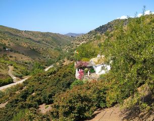 House in Canillas de Albaida. Fantástica parcela y casa de campo con 19.500 m2 de terreno plan