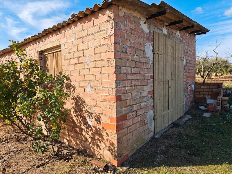 Foto b0565187-d17b-402d-b905-8f2e037b2d04. Propriété dans Móra d´Ebre