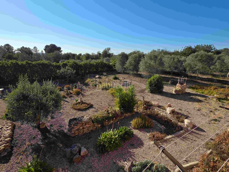 Foto b9b11f33-3d91-4d9d-b400-84f01757f2c3. Maison avec parking piscine dans Valls