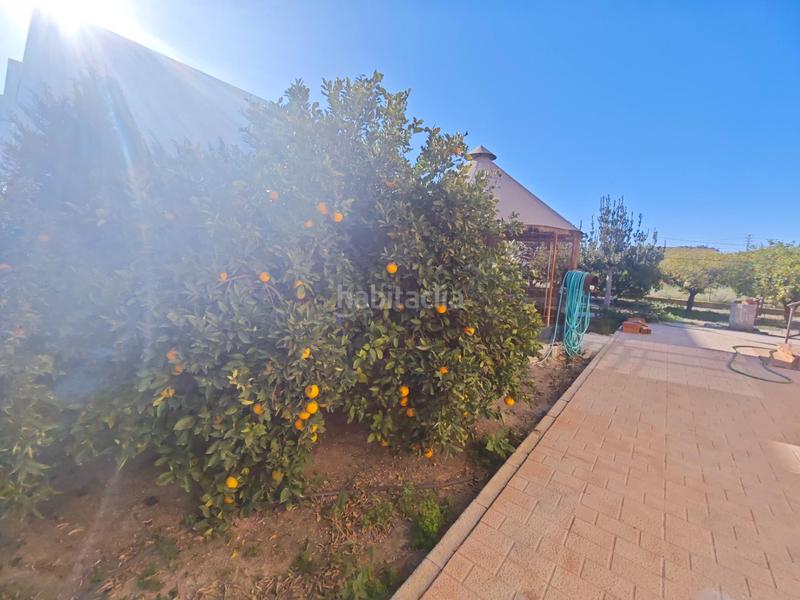 Foto 2efd6cd3-6275-4dab-b7c5-9c115da5c1c3. Maison dans Casillas Murcia