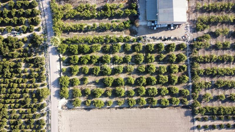 Foto 1b8cb3e8-8d94-4181-bc11-bc6ab8105049. Casa in Desamparados - Hurchillo - Torremendo Orihuela