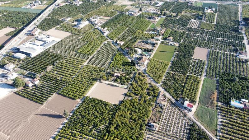 Foto fc7befe6-c9c5-425c-9d6e-a466a9182486. Casa in Desamparados - Hurchillo - Torremendo Orihuela