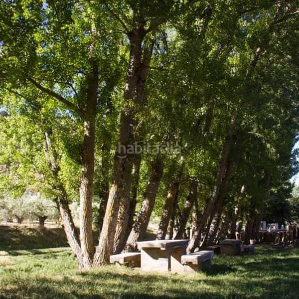 Foto ac83d200-e060-4f45-b972-5ae6cefdd556. Finca rústica en Frailes