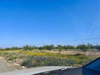 Country house in Gea y Truyols. Oportunidad única! vivienda rústica con gran huerto y posibilida