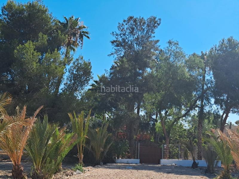 Foto ec6e419c-dab9-4393-a686-97c21a119eb7. Casa con parcheggio in Orihuela ciudad Orihuela