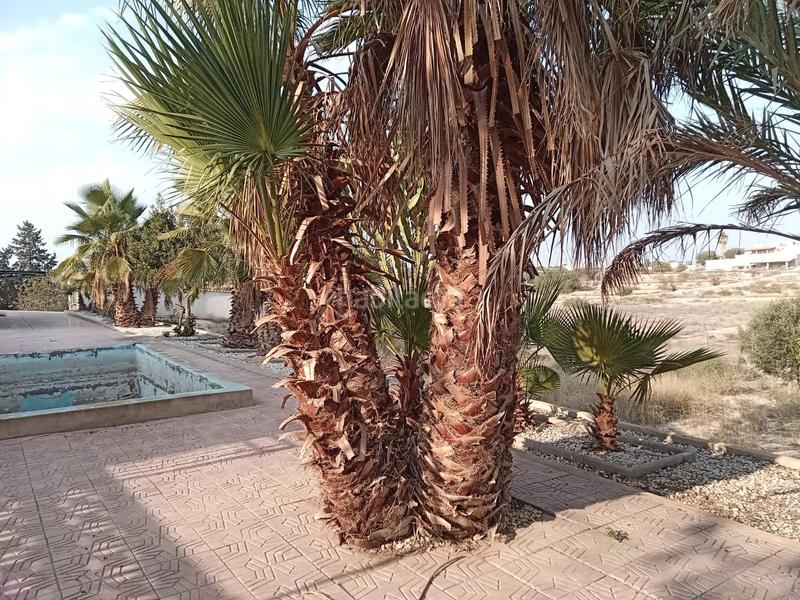 Foto c9472aaa-7f35-4624-8037-03494ac1cfa6. Alquiler casa ojo alquiler con opcion a compra  ojo alquiler con opcion a compra en Murcia