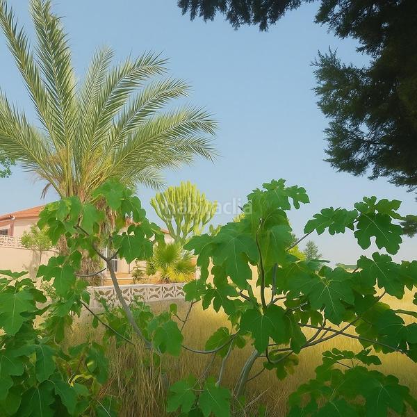Foto d03313b7-5b7c-4347-b576-b4c5195b78c0. Alquiler casa ojo alquiler con opcion a compra  ojo alquiler con opcion a compra en Murcia