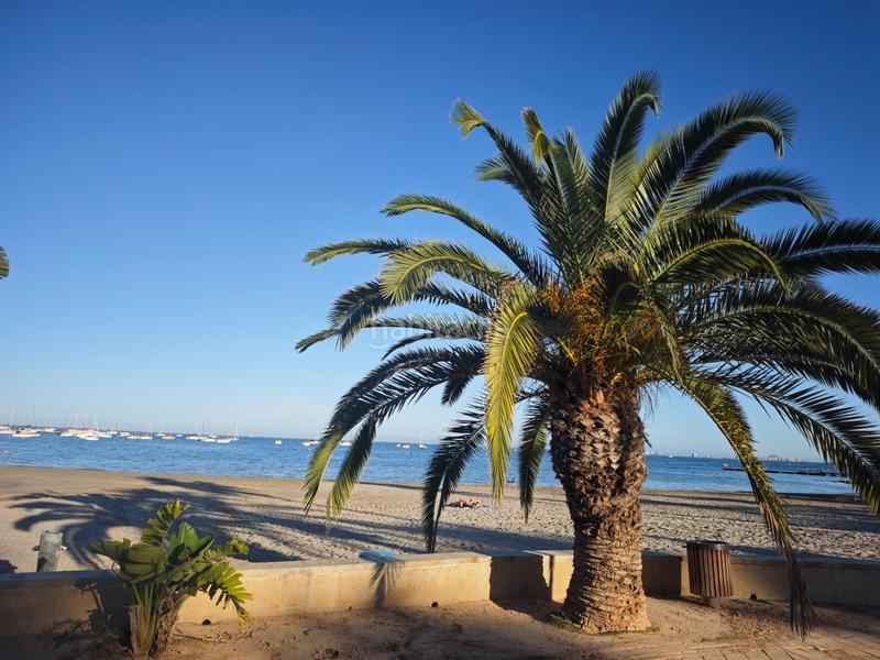 Foto 4141cf4f-d57b-4c1c-9254-54f76c9ffea9. Planta baixa amb aparcament a Santiago de La Ribera San Javier