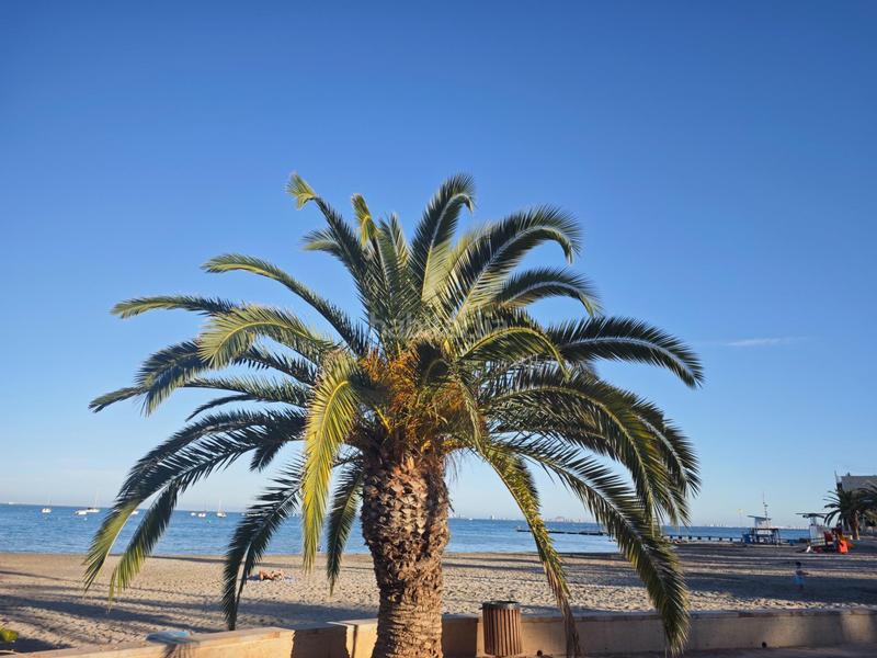 Foto fbb7db1b-44d7-42d4-bcc7-861e05f49ad9. Planta baixa amb aparcament a Santiago de La Ribera San Javier