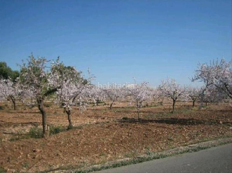 Foto 8e90aaf0-d2ae-4fe8-814c-e2bb56fb6803. Bauernhof mit parking in Valladolises y Lo Jurado Murcia