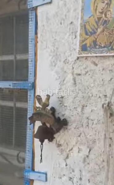 Foto c5f36c02-0ef1-4e63-8ebd-b3c4f19bfdd5. Bauernhof mit parking in Valladolises y Lo Jurado Murcia