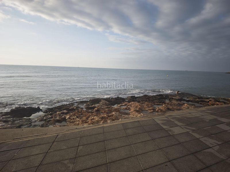 Foto b95736d6-ce75-441b-b355-4069ed882868. Pis a El Acequión Torrevieja