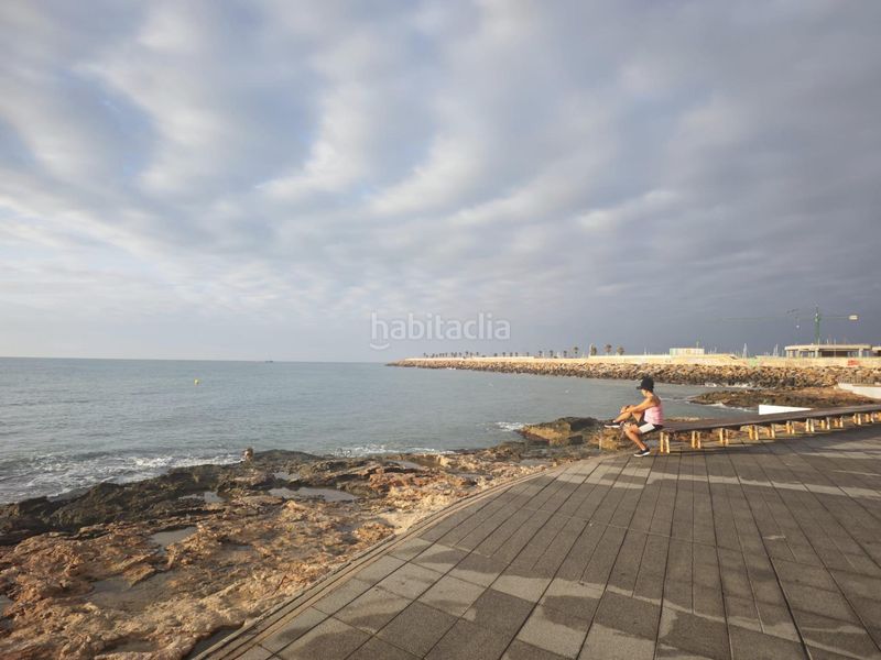 Foto f4eee9c7-1ae0-4af5-9a25-ba2688a99f0b. Pis a El Acequión Torrevieja