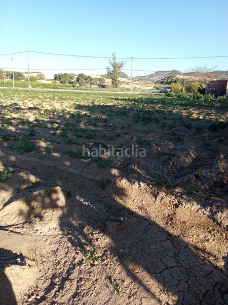 Foto 9c3f53c5-03ef-4fdb-bd73-851509c49004. Masia a Desamparados - Hurchillo - Torremendo Orihuela