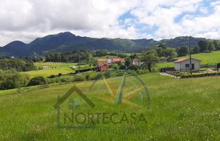 Terreny residencial  Calle luis armiñán. Venta de parcelas en nava