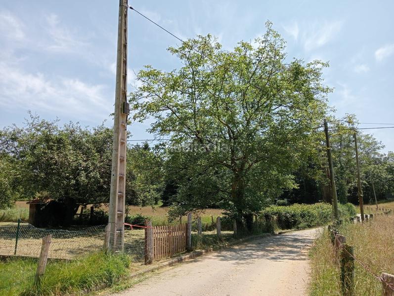 Foto 174ce5be-3ba6-4b10-9f52-7251eae59c08. Terreno residencial en aldea cesa 5 en Nava