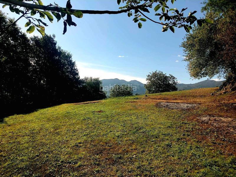 Foto 3751f095-82b3-4a16-8192-ac0de4a6a88e. Terreno residenziale in caserio monga 20 in Nava