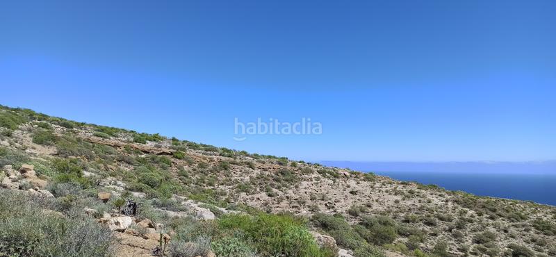 Foto 1a964611-5b44-4c13-aab1-949c7f1360a2. Fondo rustico in El Escobonal - Pájara Güímar