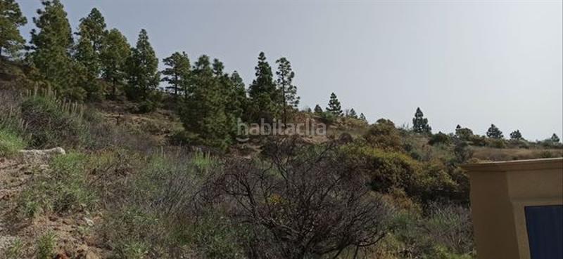 Foto 2aedd951-0eb3-4283-9b56-829dba70cd6b. Fondo rustico in Fasnia