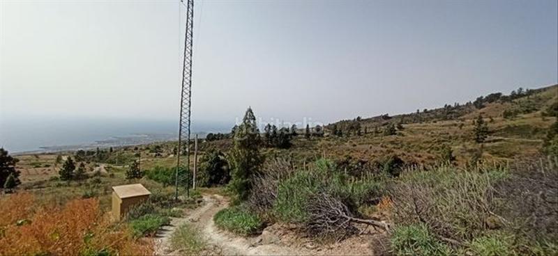 Foto 5794beb9-11c3-42c3-90eb-b0a246824871. Fondo rustico in Fasnia