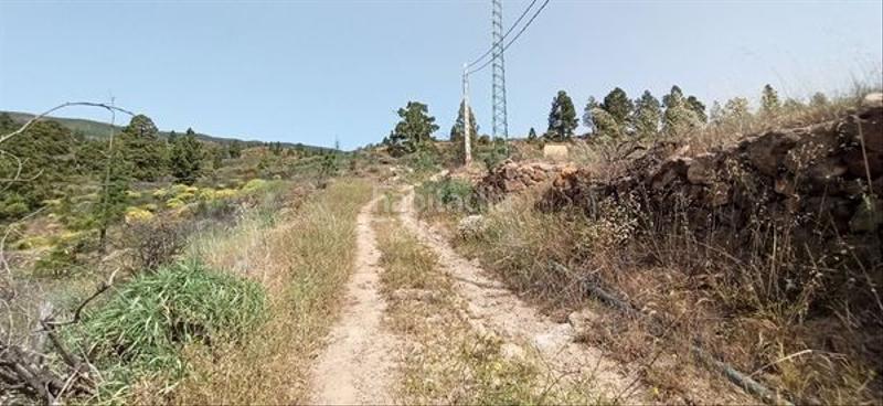 Foto 68693a13-83fd-48b1-ab3c-981fca4468e2. Fondo rustico in Fasnia