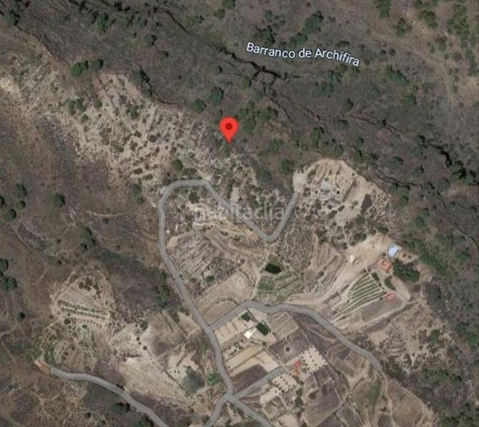 Foto 6a0b34fb-ef10-4e77-8985-9daa1950becb. Fondo rustico in Fasnia