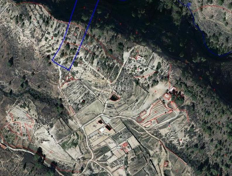 Foto 73fd3dcf-27fb-4e8b-b747-76ca57ed6ba3. Fondo rustico in Fasnia