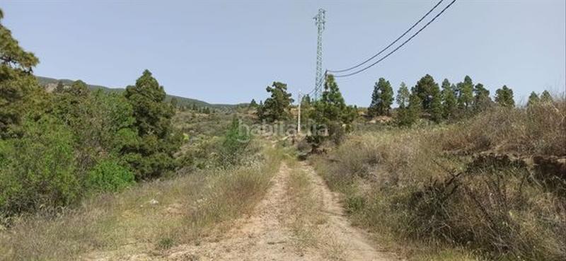 Foto 7f50fce5-31e5-47f0-bfc4-956bf620af80. Fondo rustico in Fasnia