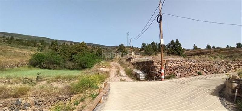 Foto b0c34192-852c-4ab8-b110-ed674c78ddf5. Fondo rustico in Fasnia