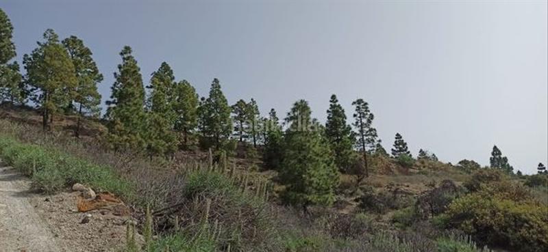 Foto e628d81c-7db8-49cc-adc3-8a1e4a34e736. Fondo rustico in Fasnia