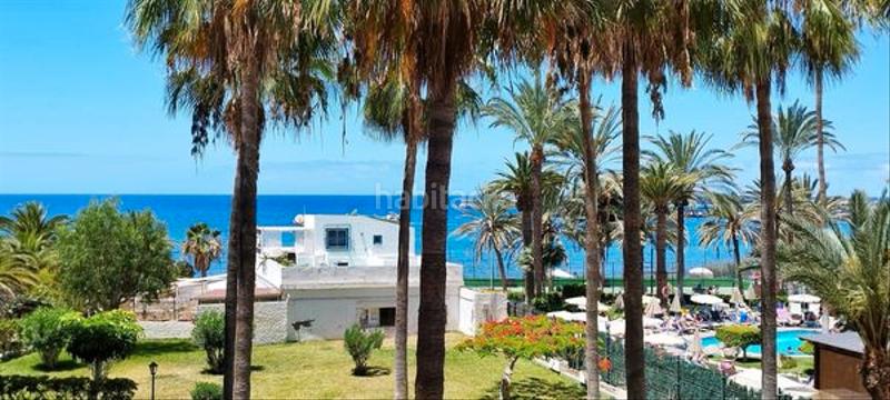 Foto 9307f5bf-b72b-4b5b-8041-0c5371a57b0d. Estudio en avenida juan carlos i 30 en Los Cristianos Arona