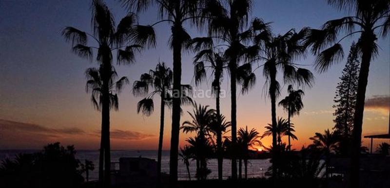 Foto b7f584e1-1a7d-4d15-99aa-e3eba5b24afa. Studio in avenida juan carlos i 30 in Los Cristianos Arona