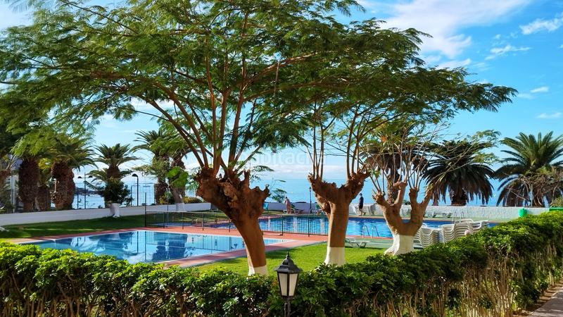 Foto ff10946e-cda8-4c0d-947c-be2ac0434c38. Studio in avenida juan carlos i 30 in Los Cristianos Arona