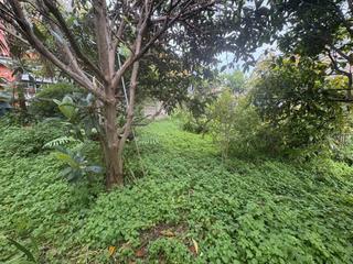 Terreno residencial en La Perdoma - San Antonio - Benijos