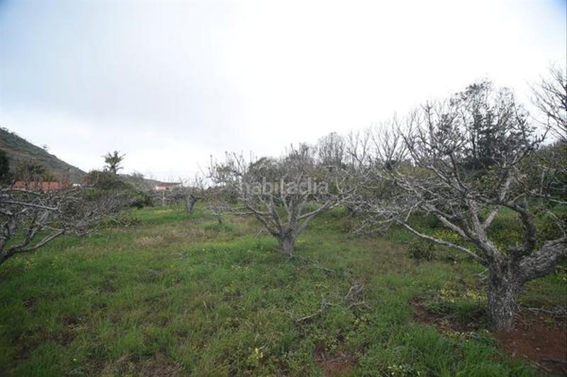 Foto 4593c847-e50f-47cb-b4df-649bd6a369b3. Masía en Tacoronte - los naranjeros Tacoronte