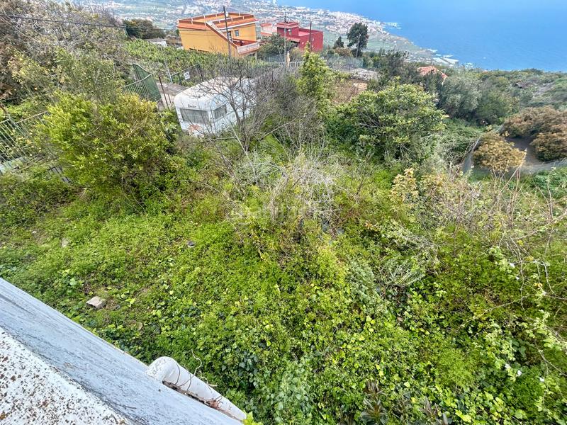 Foto a15e04e5-4eab-4bd9-b11a-2c534f5dc17e. Haus in Las Cuevas - Los Gómez Orotava (La)