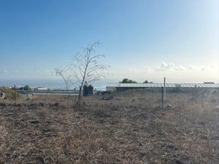 Rural plot in Camino la tomatica 9
