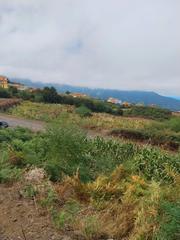 Landgut in La Perdoma - San Antonio - Benijos