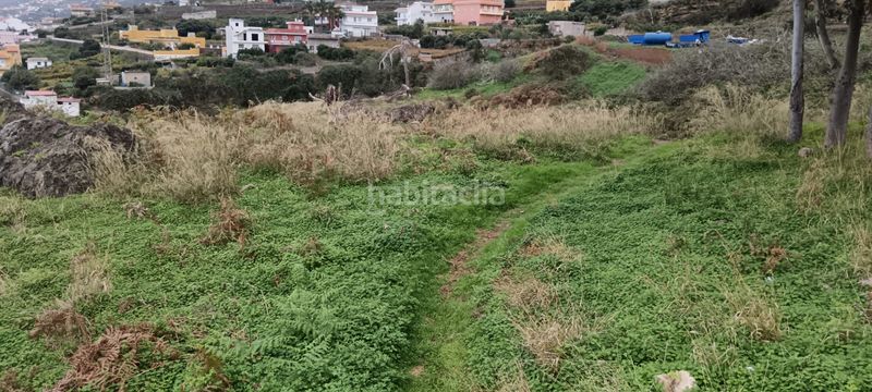 Foto 04d673d9-6545-4aea-a780-f9f5eeb90c6d. Terreny residencial a Cruz Santa Realejos (Los)