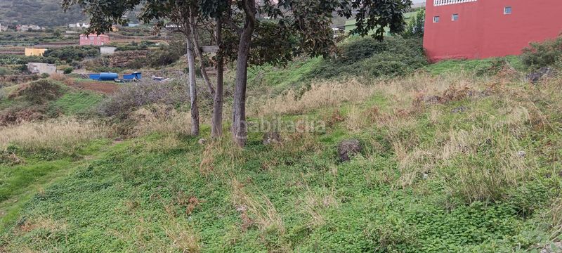 Foto 0a238e34-cb72-4150-aa51-a1d108d11ab5. Terreny residencial a Cruz Santa Realejos (Los)